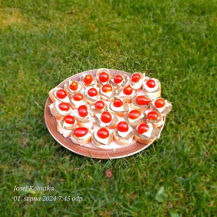 Italská bruschetta s bazalkovým pestem, mozzarellou a cherry rajčaty.